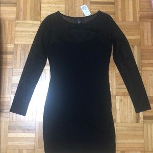 LBD